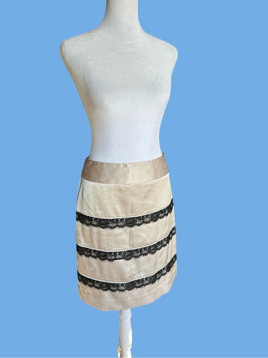 The Limited Dresses & Skirts - 90s The Limited Shimmer Beige A-Line Skirt with Black Lace Bands